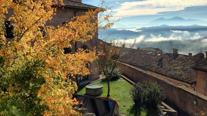 Urbino,Università: facoltà di Economia